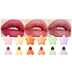 Cosmetics Matte Waterproof Mini Lipstick Set